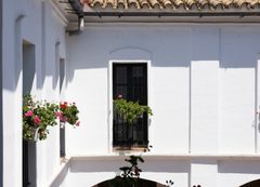Casa encalada con macetas en un pueblo de Huelva